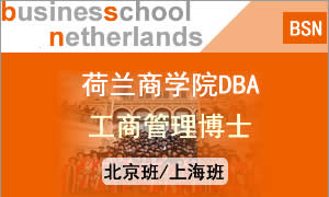 荷兰商学院DBA招生图片