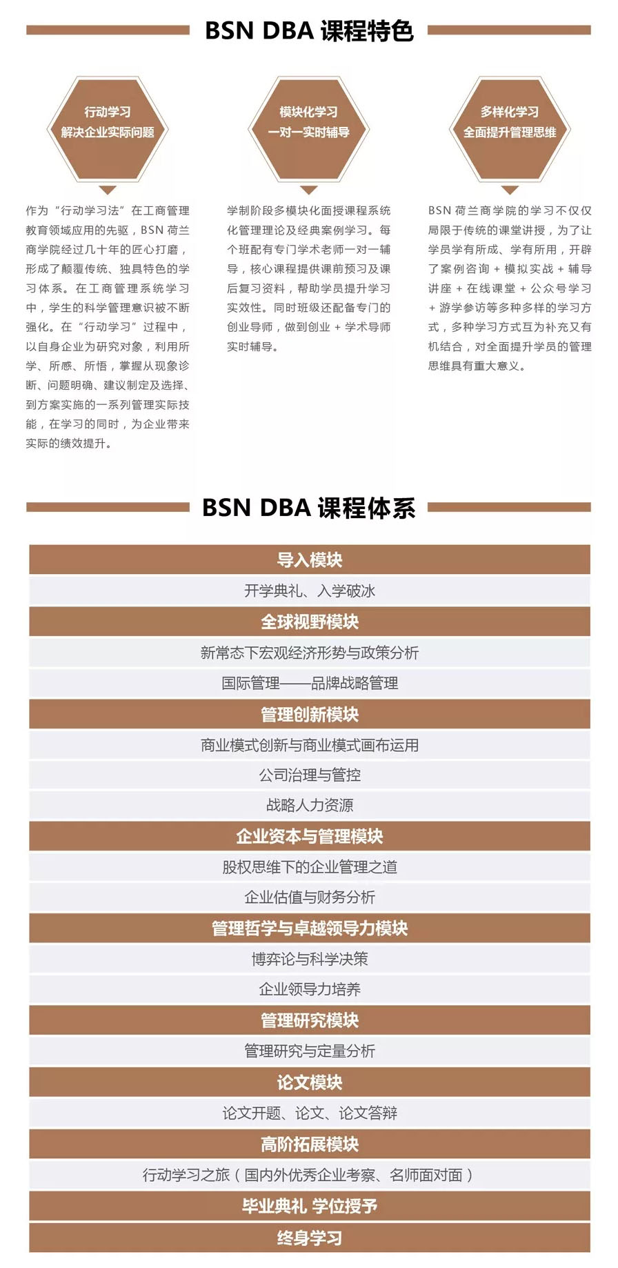 BSN荷兰商学院DBA招生简章04