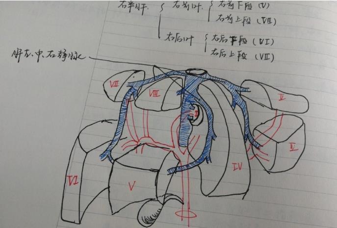 2018年湘雅医院骨科考博经验