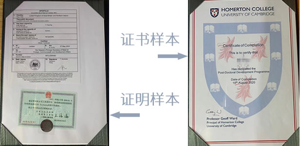 剑桥大学博士后证书样本图.jpg