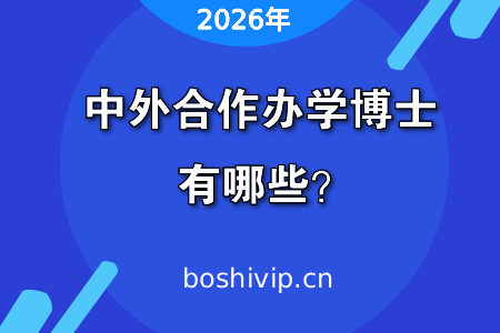 2026年中外合作办学博士有哪些?