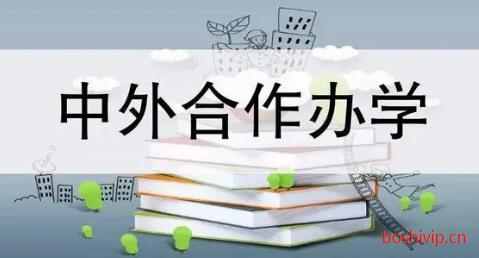 这些中外合作办学博士项目你知道吗？配图